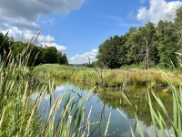 Idyllisches Plätzchen - gesehen in Altmannshausen (Foto: Barbara Nitsche)