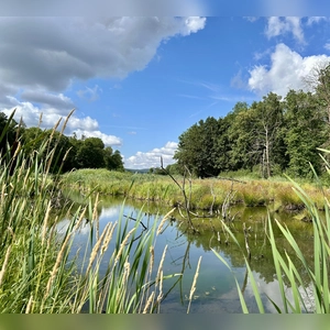 Idyllisches Plätzchen - gesehen in Altmannshausen (Foto: Barbara Nitsche)