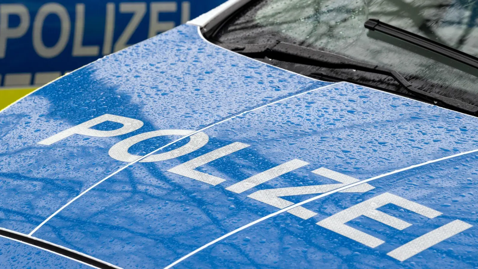 Der Tote soll für die Mehrheit der Waffen keine Erlaubnis gehabt haben. (Symbolbild) (Foto: Soeren Stache/dpa)