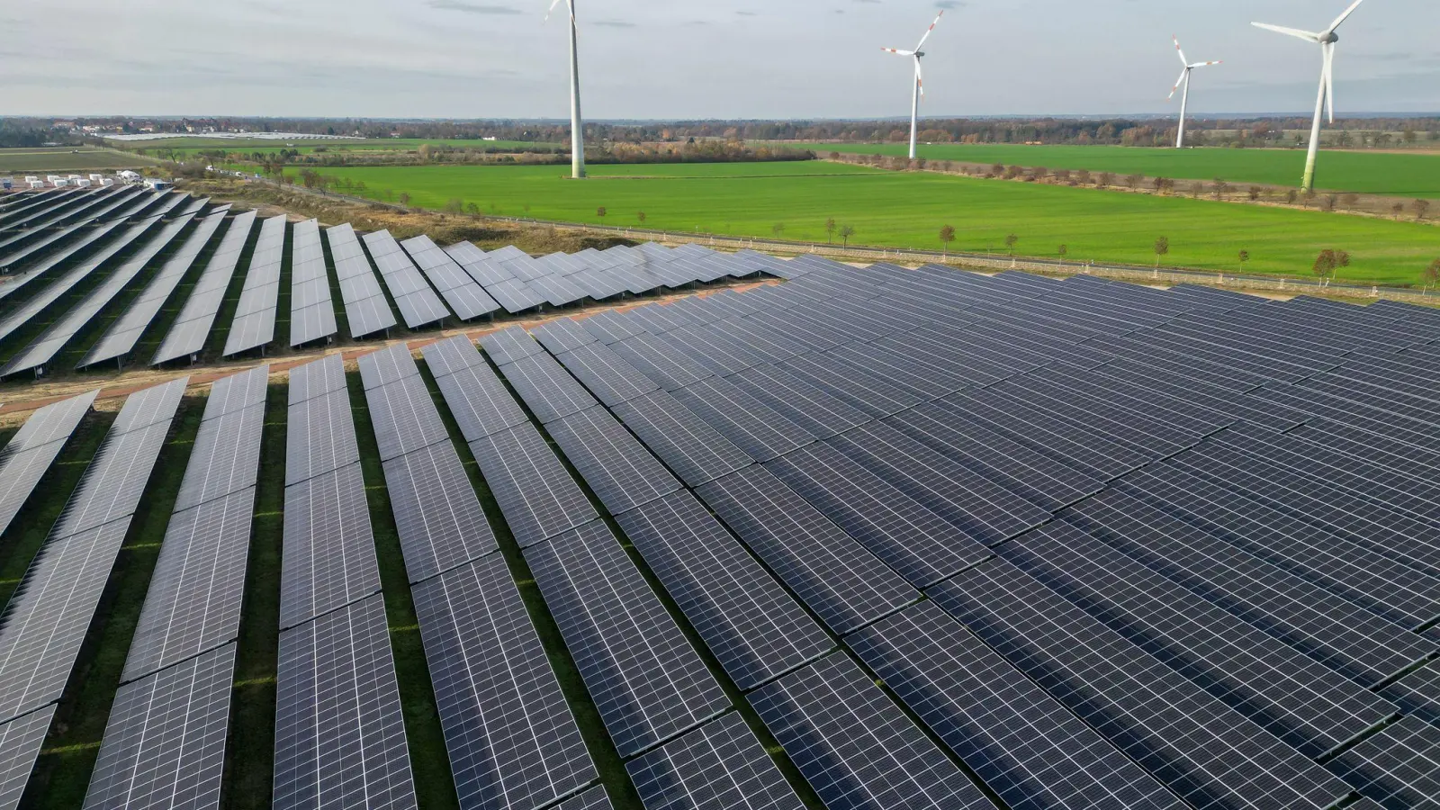 Erneuerbare Energien haben im ersten Halbjahr 58 Prozent des Stromverbrauchs gedeckt - ein Rekord. (Symbolbild) (Foto: Jan Woitas/dpa)