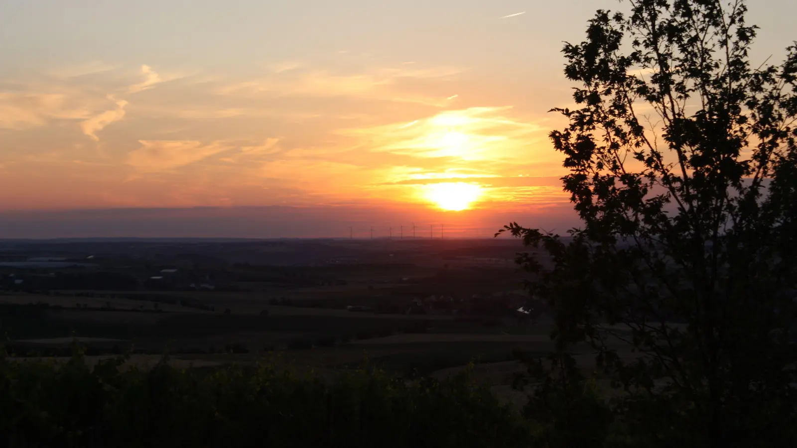 In den Weinbergen bei Bullenheim lässt sich vor allem im Frühling oder Sommer (wie hier auf dem Bild) gut der Sonnenuntergang genießen. (Foto: Anna Beigel)