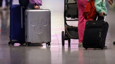 Als blinder Passagier hatte sich der Skorpion in der Jacke einer Reisenden versteckt. (Symbolbild)  (Foto: Christoph Reichwein/dpa)