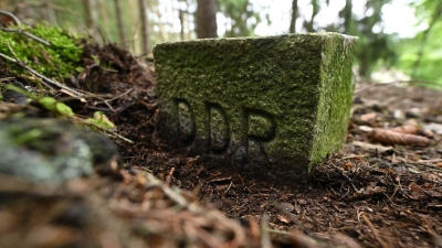Ein bemooster Grenzstein zur DDR an der früheren innerdeutschen Grenze (Symbolbild)  (Foto: Martin Schutt/dpa)