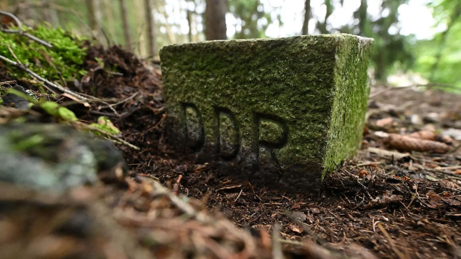 Ein bemooster Grenzstein zur DDR an der früheren innerdeutschen Grenze (Symbolbild)  (Foto: Martin Schutt/dpa)