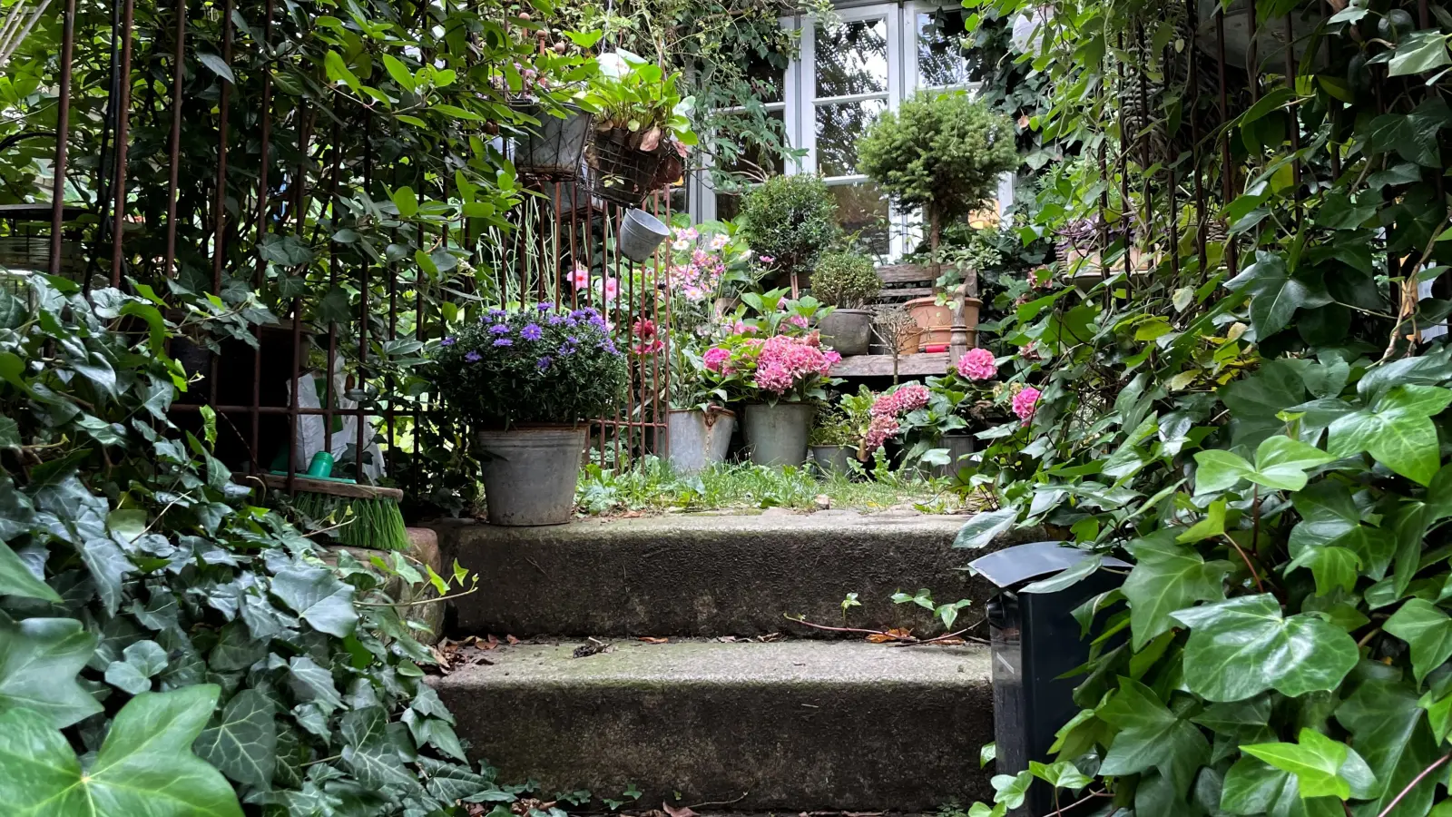 Die Treppenwege entschleunigen. Der Country-Garden-Flair im Treppenviertel tut ein Übriges dazu. (Foto: Thomas Wirth)