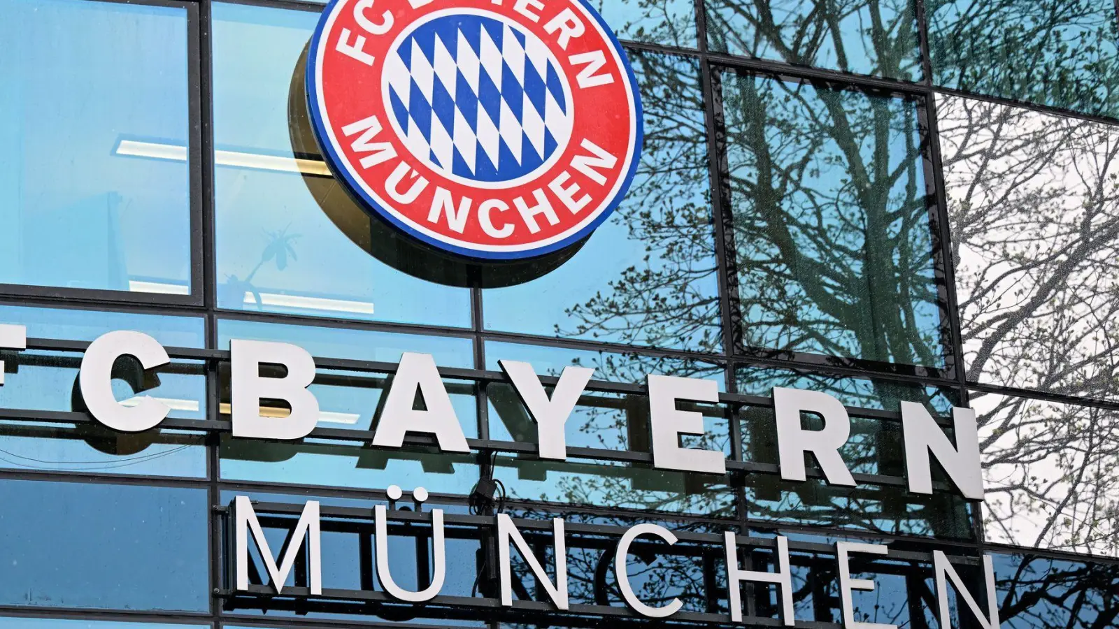 Der FC Bayern plant ein wichtiges Neubauprojekt. (Archivbild) (Foto: Sven Hoppe/dpa)