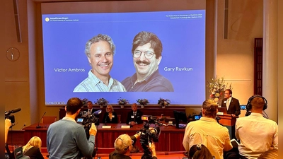 Der Nobelpreis für Medizin geht in diesem Jahr Victor Ambros  (li) und Gary Ruvkun für die Entdeckung der microRNA und ihrer Rolle bei der Genregulierung. (Foto: Steffen Trumpf/dpa)