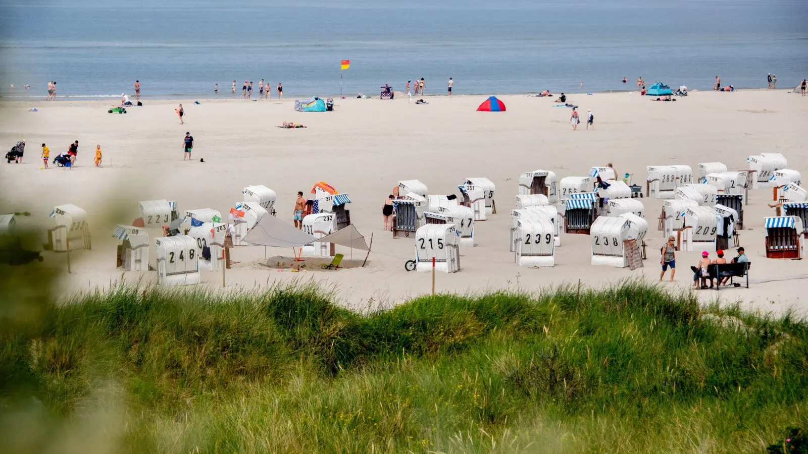 Die neue Woche startet mit mehr Sonnenschein und höheren Temperaturen (Archivbild).  (Foto: Hauke-Christian Dittrich/dpa)