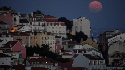 Nach der Mutter wurde nicht nur in Portugal fieberhaft gesucht. (Symbolbild) (Foto: Armando Franca/AP/dpa)