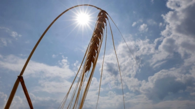 An diesem Wochenende sind etliche Hitzerekorde gepurzelt.  (Foto: Thomas Warnack/dpa)