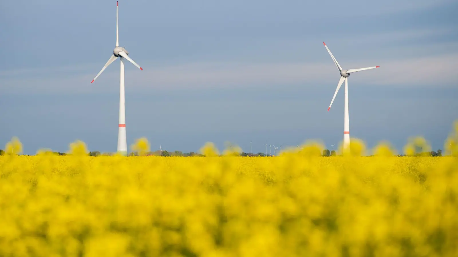 Die Netzagentur verzeichnet derzeit einen Boom bei der Genehmigung neuer Windenergieanlagen an Land. (Symbolbild) (Foto: Hauke-Christian Dittrich/dpa)