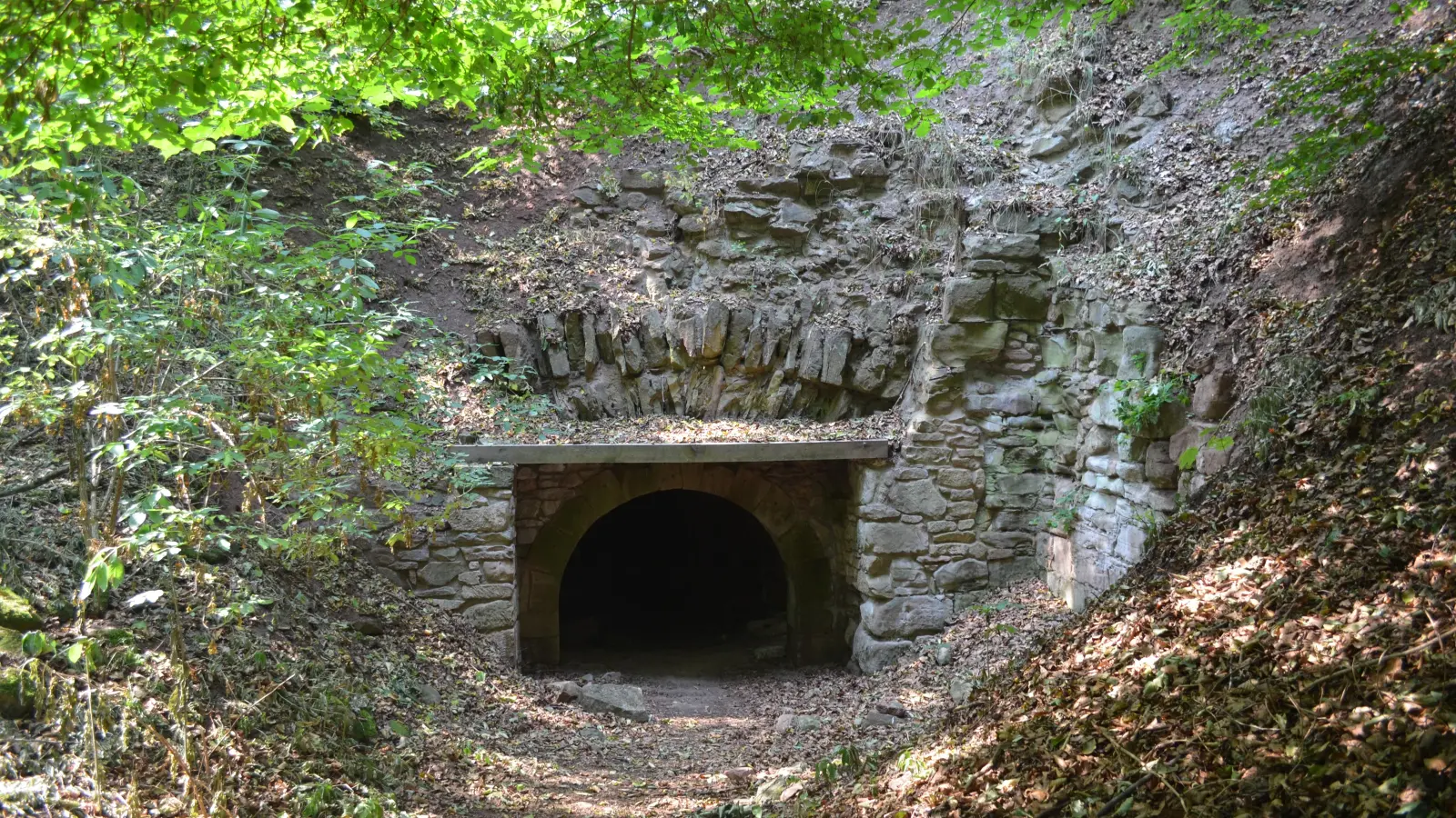 Beinahe mystisch sieht es aus, wenn man sich den Überresten der Burg Hohenlandsberg nähert. (Foto: Johannes Hirschlach)