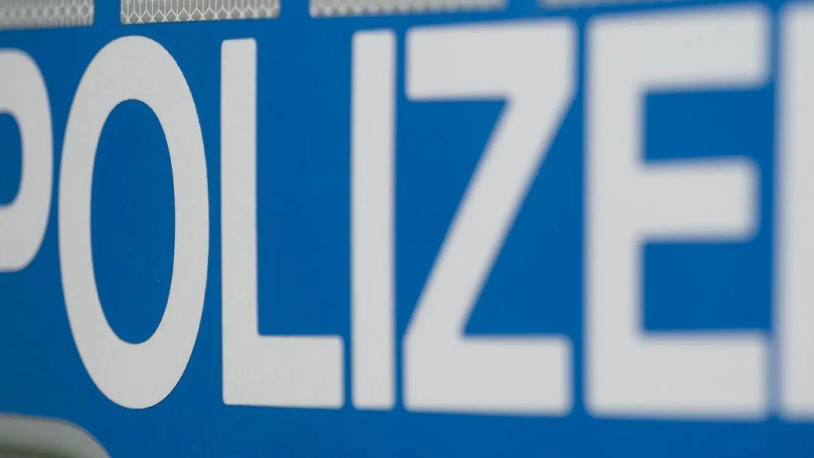 Zahlreiche Beamte regeln in der Nacht den Verkehr und lösen Autokorsos auf. (Symbolbild) (Foto: Marijan Murat/dpa)