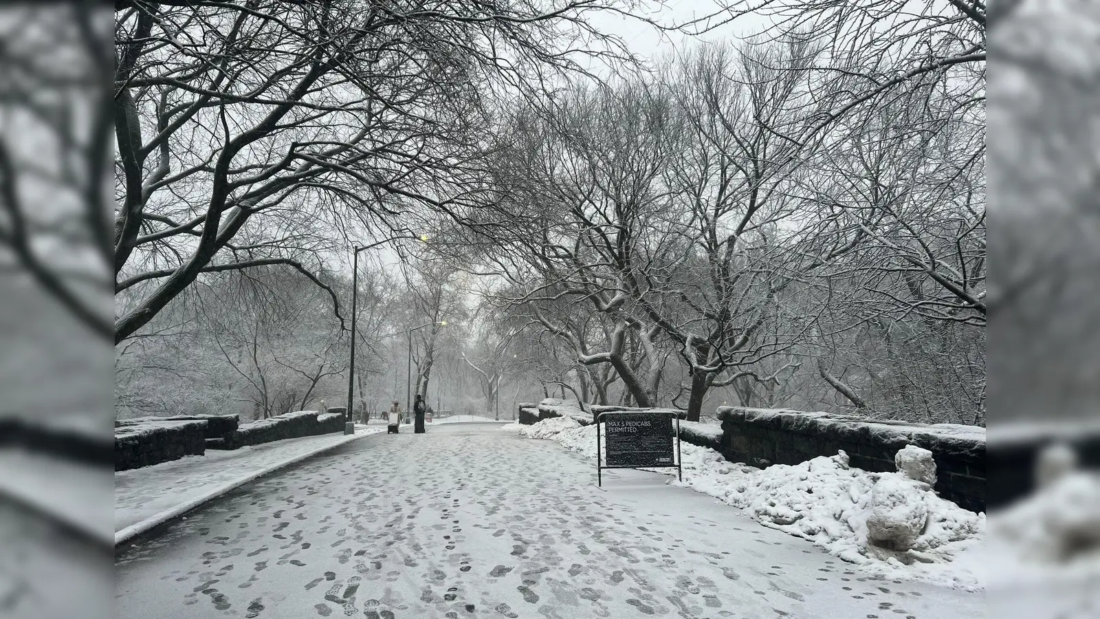 In New York legt der viele Schnee das öffentliche Leben lahm. (Foto: Christina Horsten/dpa)