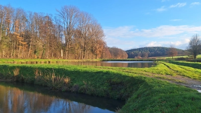Bei der Jahresversammlung haben die Mitglieder der Teichgenossenschaft die für sie aktuell wichtigsten Themen besprochen. (Symbolbild: Daniela Ramsauer)