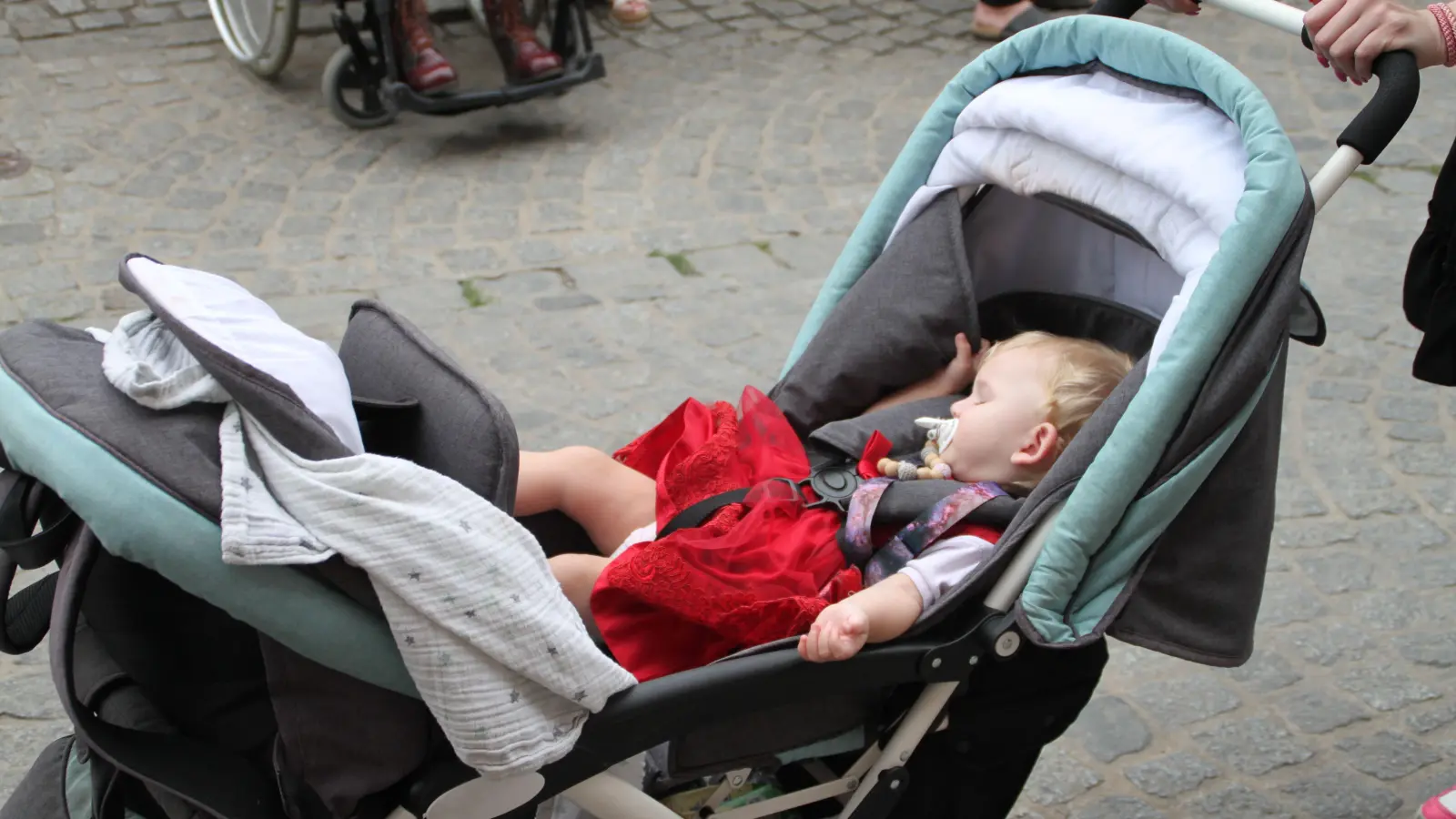 Wenn man schläfrig ist stören auch die lauten Geräusche beim Umzug nicht. (Foto: Hans-Bernd Glanz)