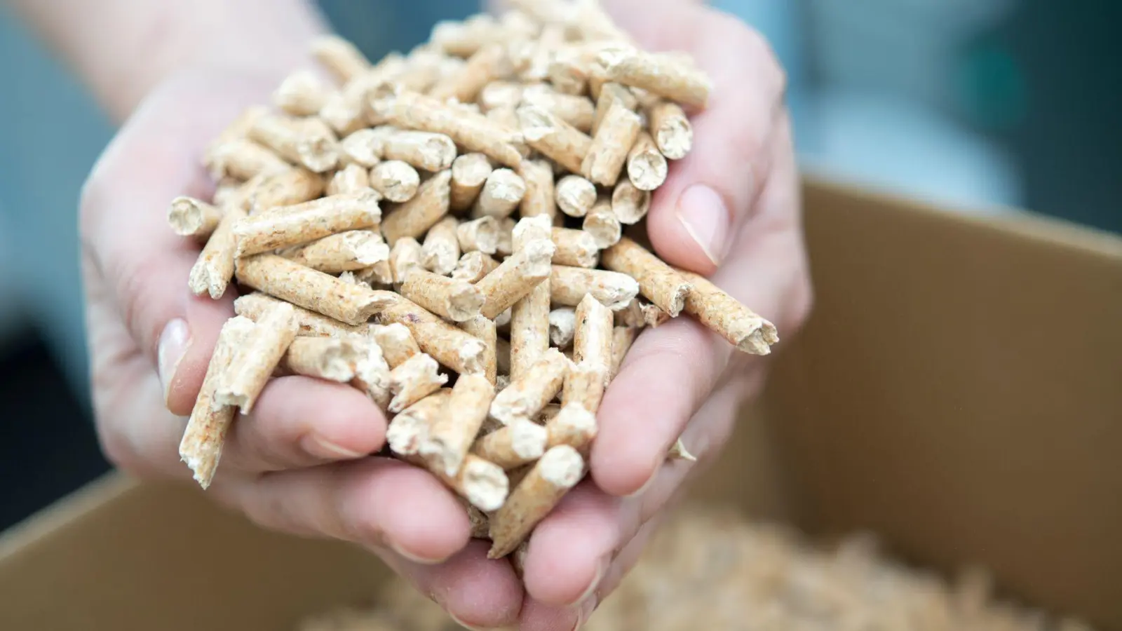 Augen auf beim Kauf: Heizungsbesitzer, die Holzpellets verwenden, sollten Angebote im Internet, die zu verlockend klingen, besser meiden. (Foto: Andrea Warnecke/dpa-tmn)