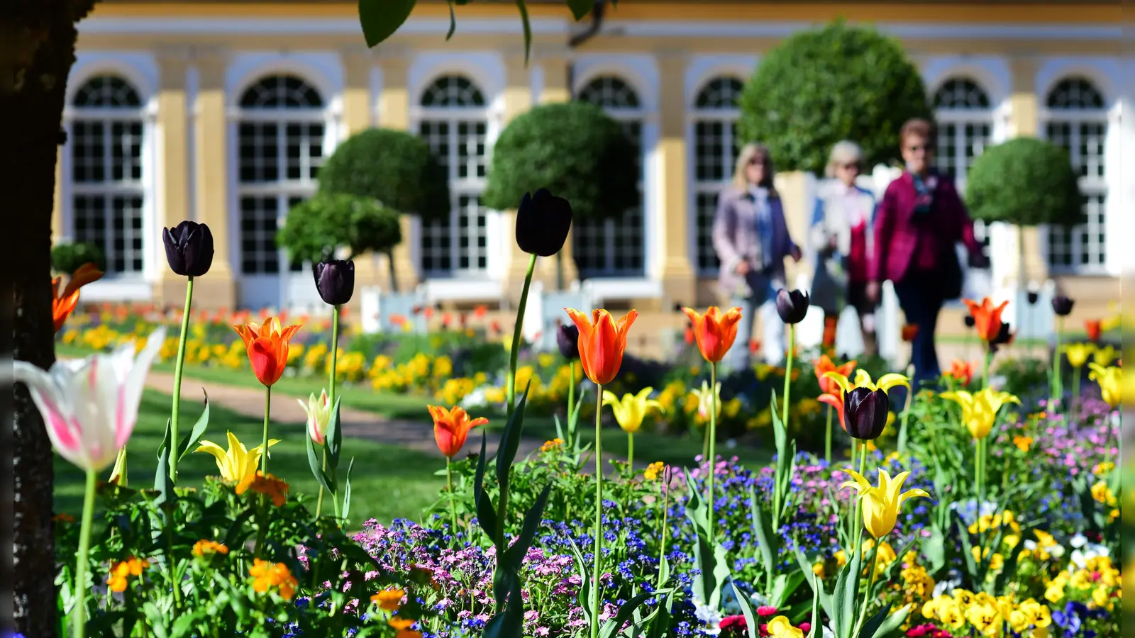 Der Hofgarten in Ansbach bietet Frühjahr wie Sommer eine Vielfalt an Blumen und malerischer Landschaftsgärtnerei. (Archivbild: Jim Albright)