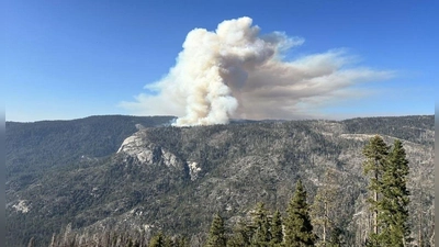 Beim Absturz des Löschhubschraubers kamen beide Insassen ums Leben. (Foto: Uncredited/National Parks Service/AP/dpa)