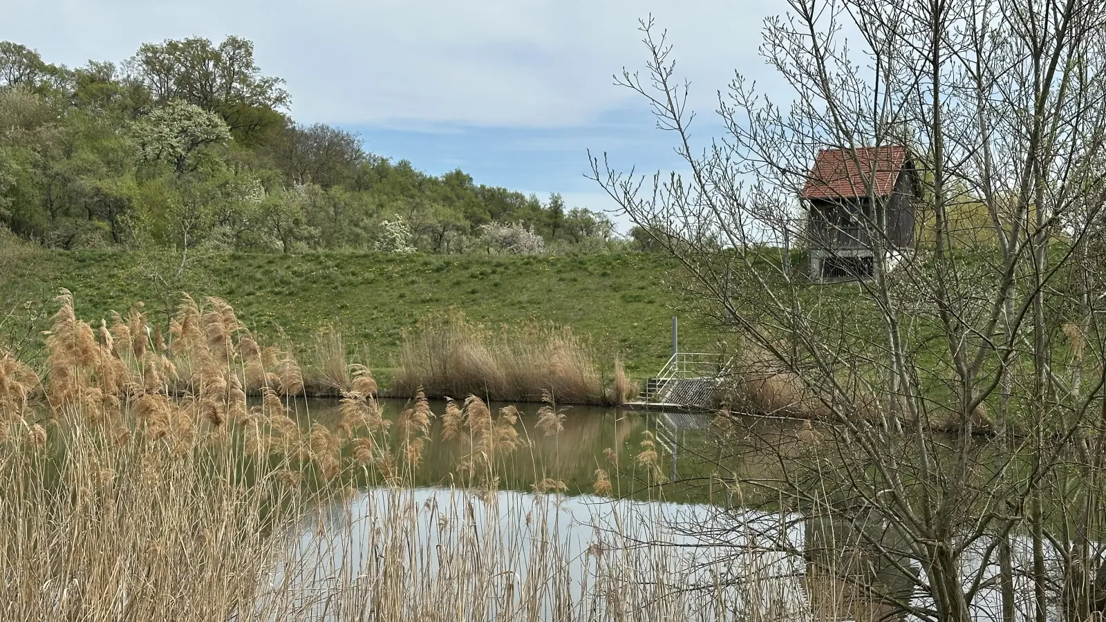 Idylle - gesehen bei Burgbernheim. (Foto: Karl-Heinz Mayerhofer)