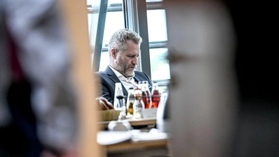 AfD-Politiker Petr Bystron hatte die Fotocollage im Sommer 2022 im Internet geteilt - damals noch auf Twitter. (Archivbild) (Foto: Britta Pedersen/dpa)