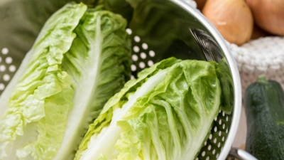 Mehr als nur Rohkost: Romanasalat kann nicht nur Salat – man kann ihn auch dünsten, braten oder grillen, ohne dass er zerfällt. (Foto: Christin Klose/dpa-tmn)