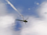 Ausflug im Herbst – gesehen bei Rothenburg (Foto: Erika Brown)