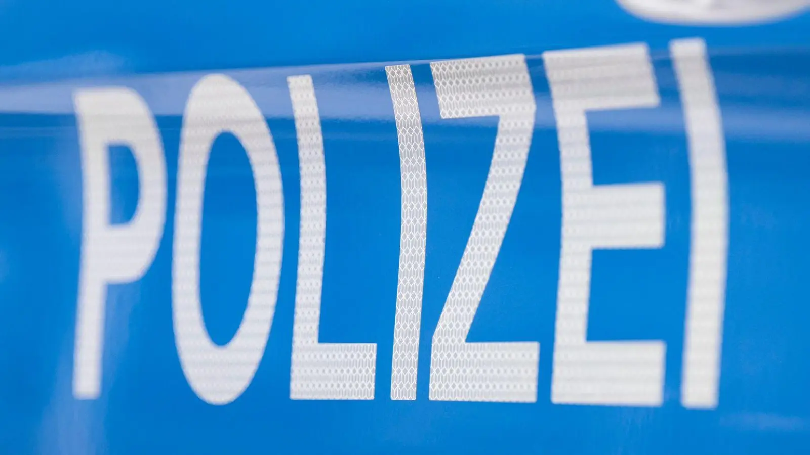 Die Polizei hat zu zahlreichen Diebstählen ermittelt. (Symbolbild) (Foto: Boris Roessler/dpa)