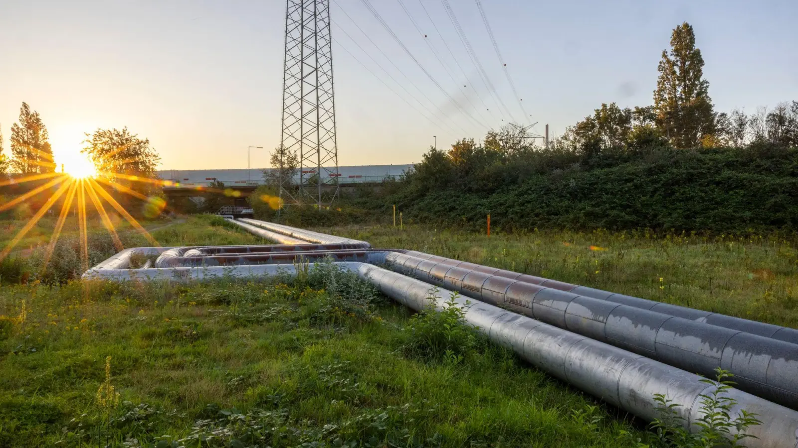 Volles Rohr fürs Klima: Um das Ziel der Dekarbonisierung und Klimaneutralität zu erreichen, sollen mehr Menschen Fernwärme erneuerbaren Energien beziehen. (Foto: Christian Charisius/dpa/dpa-tmn)