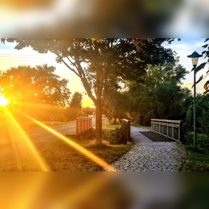 Heimgeleuchtet - gesehen bei Dottenheim (Foto: Uschi Wendel)