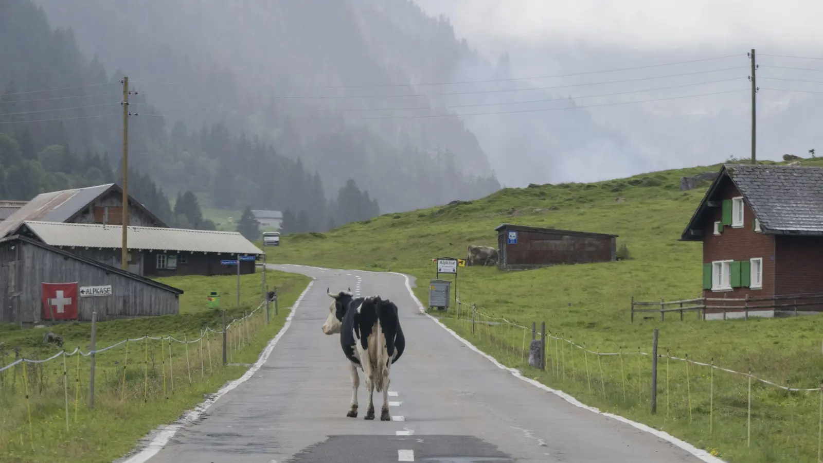 „Die Zahl der Deutschen mit Wohnsitz in der Schweiz steigt seit Jahren kontinuierlich“, berichtete die Statistikbehörde. Binnen zehn Jahren erhöhte sich die Zahl der Deutschen in der Schweiz um 10,7 Prozent. (Archivfoto) (Foto: Urs Flueeler/KEYSTONE/dpa)