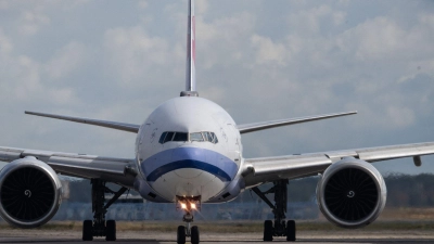 Mit einem Flugzeug soll die Überträger-Mücke nach Frankfurt gelangt sein. (Foto: Boris Roessler/dpa)