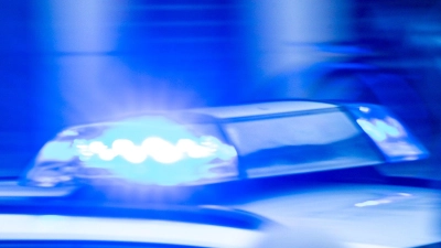 Die Polizei kam dem Dieb auf die Schliche. (Symbolbild) (Foto: Jens Büttner/dpa)