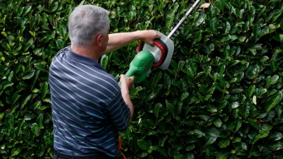 Kahlschlag? Manchmal kann eine Hecke auch die Sicht im Verkehrsgeschehen behindern - in einem Fall wurde deswegen eine Stadt verklagt. (Foto: Ina Fassbender/dpa-tmn)