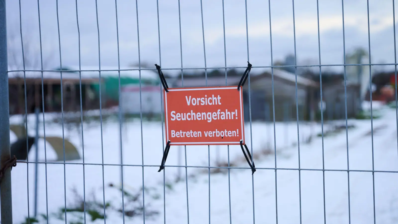 „Vorsicht Seuchengefahr!“ steht auf einem Schild an einem Betrieb in Mehrow. Zum Schutz vor einer möglichen Ausbreitung der Maul- und Klauenseuche sollen am Vormittag vorsorglich rund 200 Schweine im brandenburgischen Landkreis Barnim getötet werden. Nun hat Südkorea Schweinefleischimporte aus Deutschland verboten. (Foto: Annette Riedl/dpa)