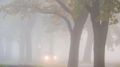 Bei plötzlich auftauchendem Nebel sollten Fahrer Tempo rausnehmen und den Abstand zum Vordermann vergrößern. (Foto: Patrick Pleul/dpa/dpa-tmn)
