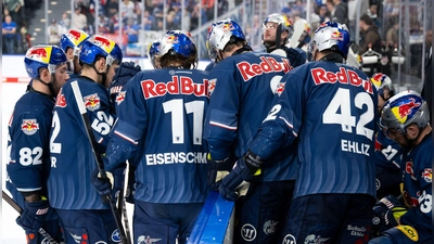Bekommen künftig noch einen vierten Torhüter: Die Eishockey-Profis des EHC Red Bull München. (Archivfoto) (Foto: Sven Hoppe/dpa)