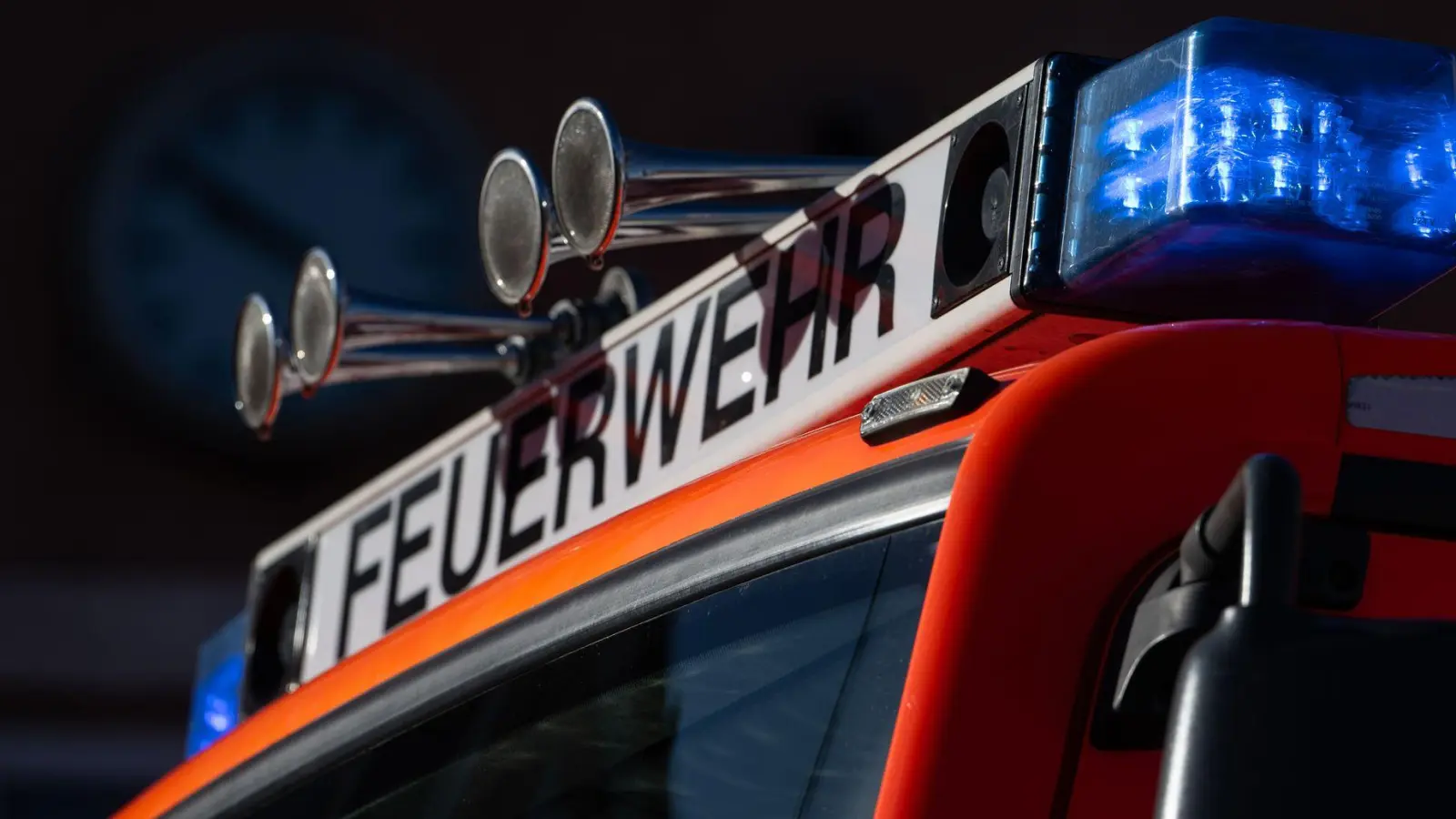 Die Feuerwehr konnte alle neun Entenküken befreien. (Symbolbild) (Foto: Marijan Murat/dpa)