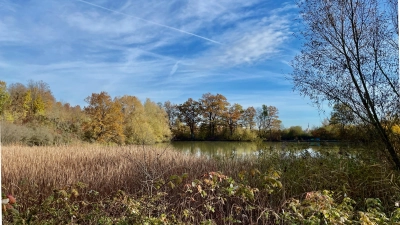 Unweit des Waldfriedhofes liegt der Ziegelweiher. Doch das malerische Idyll ist in Gefahr, der Damm ist undicht. (Foto: Hans-Martin Goede)