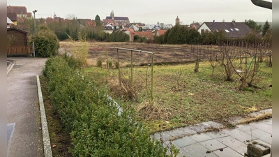 Dort, wo die Gärtnerei Bochenek früher ihre Blumen und Pflanzen gezogen und verkauft hat, soll bald gewohnt werden. (Foto: Clarissa Kleinschrot)