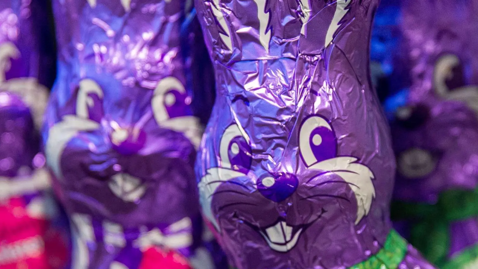 Schokoladen-Osterhasen von Milka stehen derzeit in vielen Supermarktregalen - das gefällt nicht allen. (Foto: Jens Büttner/dpa-Zentralbild/dpa)