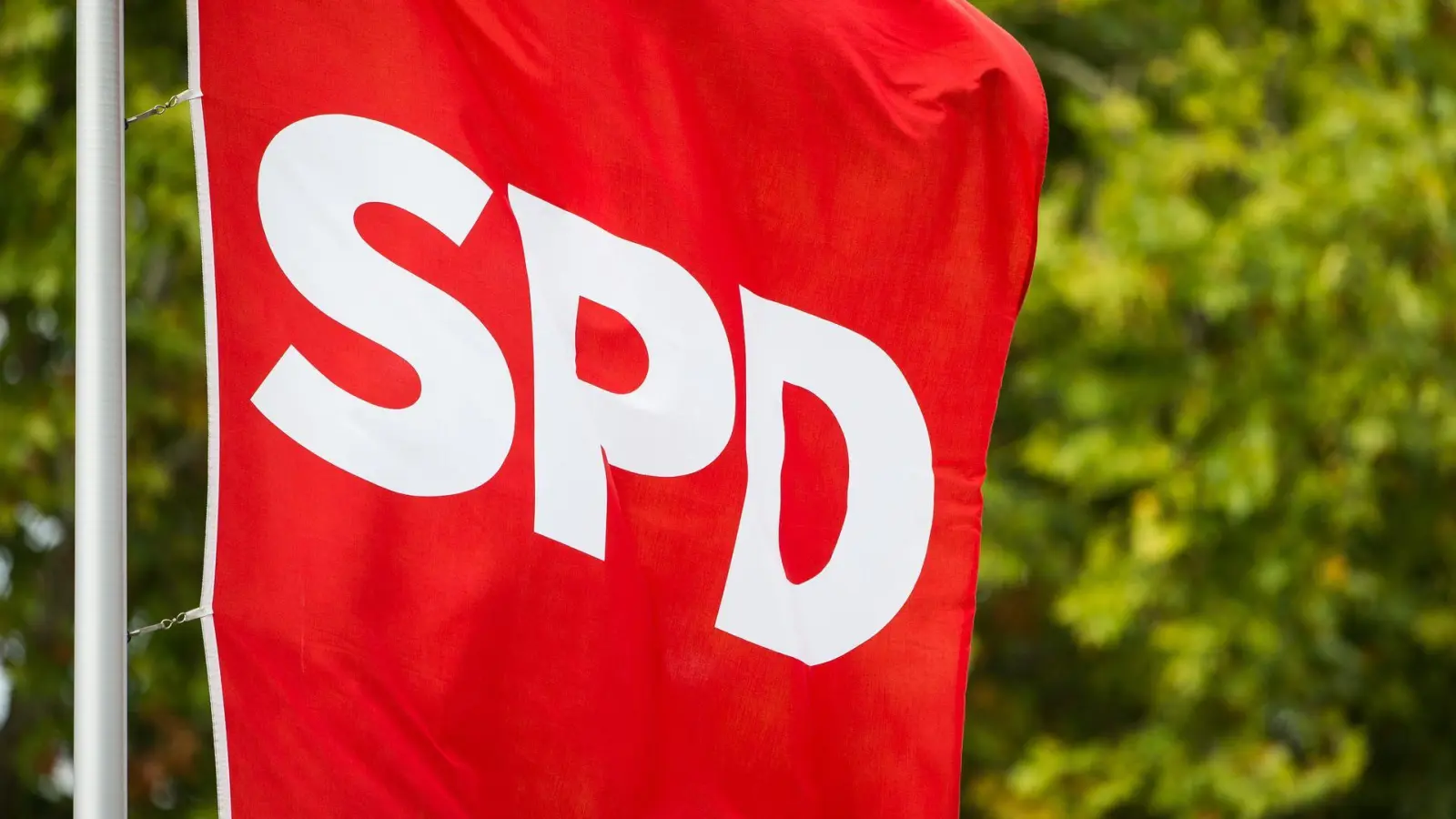 Gegner der Bürgergeld-Verschärfungen haben in der SPD Unterschriften gesammelt. (Archivbild) (Foto: Silas Stein/dpa)