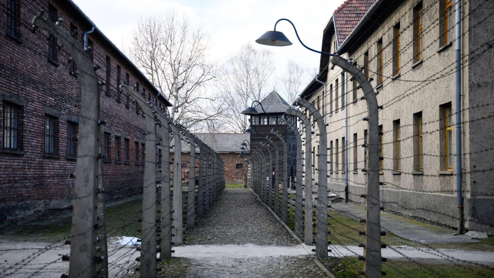 Mehr als eine Million Menschen wurden im Vernichtungslager Auschwitz-Birkenau von den Nazis ermordet. (Archivbild) (Foto: Bernd von Jutrczenka/dpa)