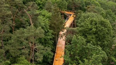 Der als „Klimawaldpfad“ angedachte Baumwipfelpfad am Nürnberger Tiergarten soll den Wald spielerisch erlebbar machen und auch mit Kinderwagen und Rollstühlen zugänglich sein. (Foto: Daniel Karmann/dpa)