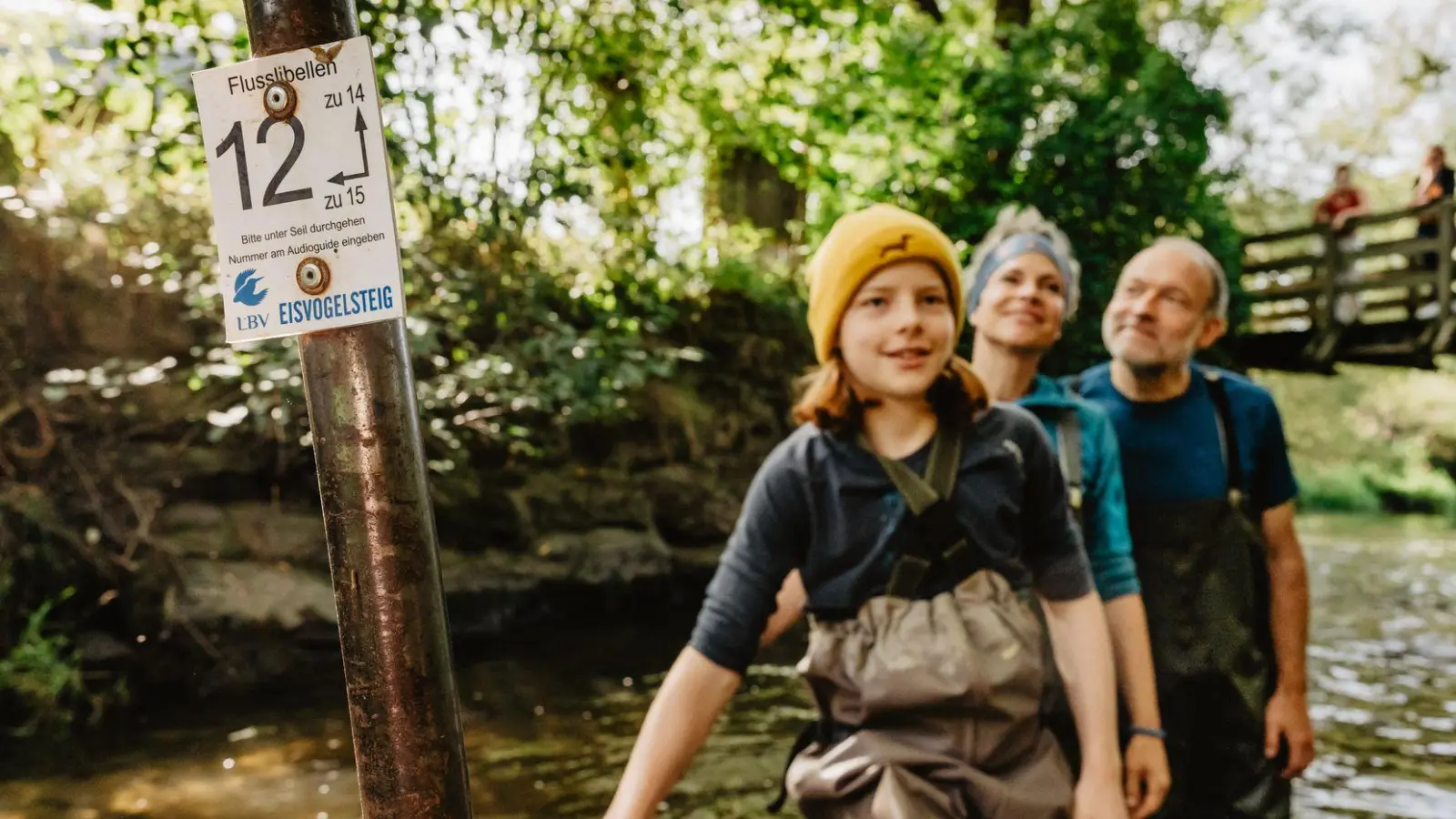 Wathose an und hinein ins Wasser: Der Eisvogelsteig führt durch den Fluss Chamb. (Foto: Thomas Linkel/erlebe.bayern/dpa-tmn)