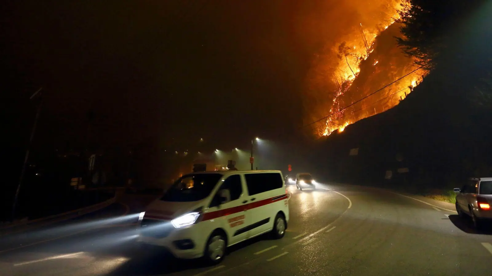 Die zerstörte Fläche ist bereits doppelt so groß wie der Bodensee. (Archivbild) (Foto: Bruno Fonseca/AP/dpa)