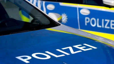 Zwei entlaufene Pferde wurden von einem Auto erfasst und getötet. (Symbolbild) (Foto: Sven Hoppe/dpa)
