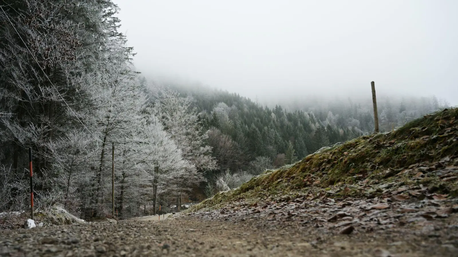 Die Wetteraussichten sind trist. (Symbolbild) (Foto: Malin Wunderlich/dpa)