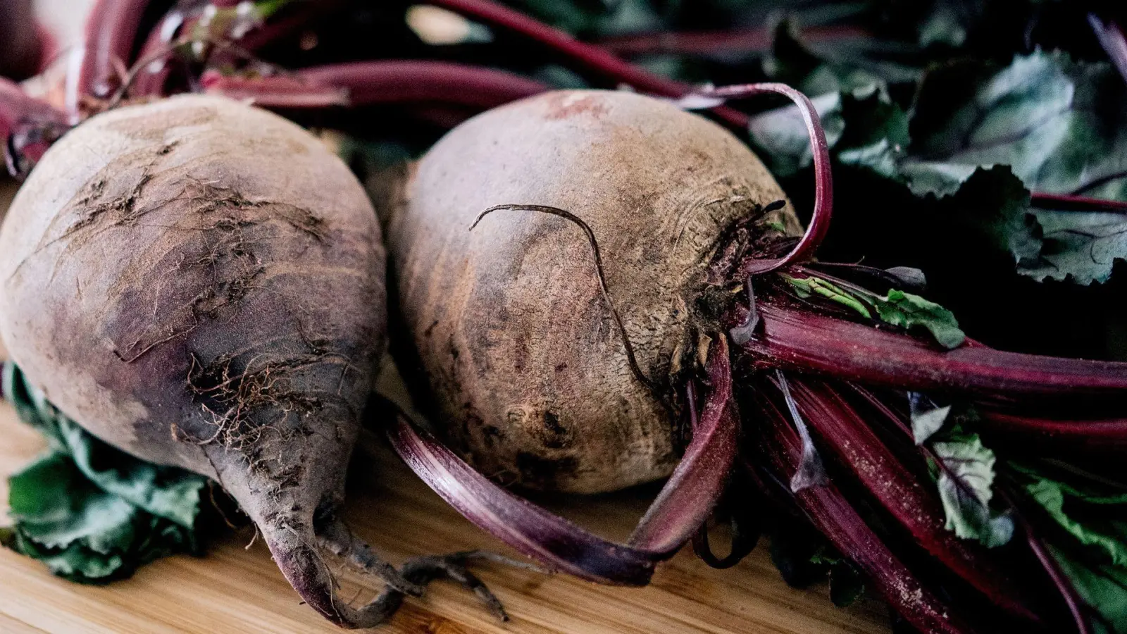 Vom Kellerkind zum Küchentrend: Rote Bete ist kein stiller Begleiter mehr. Beim Einkauf gilt: Kleine Knollen sind milder im Geschmack, große erdiger.  (Foto: Zacharie Scheurer/dpa-tmn)