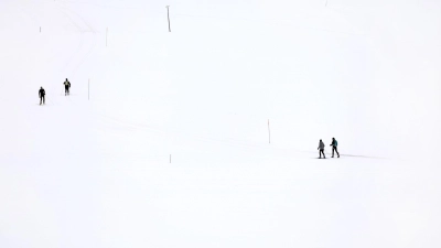 Langläufer durchstreifen bei Oberstdorf im Allgäu die winterliche Landschaft. (Foto: Karl-Josef Hildenbrand/dpa)